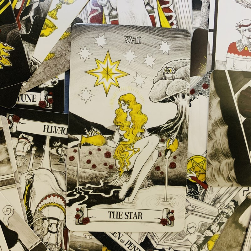 Secret Mirror Tarot-Karten, 80 – Tarot Cards Deck With Guidebook Bewertung und Preis
